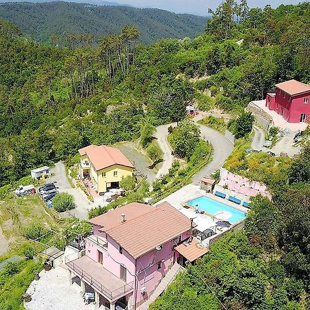 I Gelsi E I Castagni Villa Polverara ภายนอก รูปภาพ