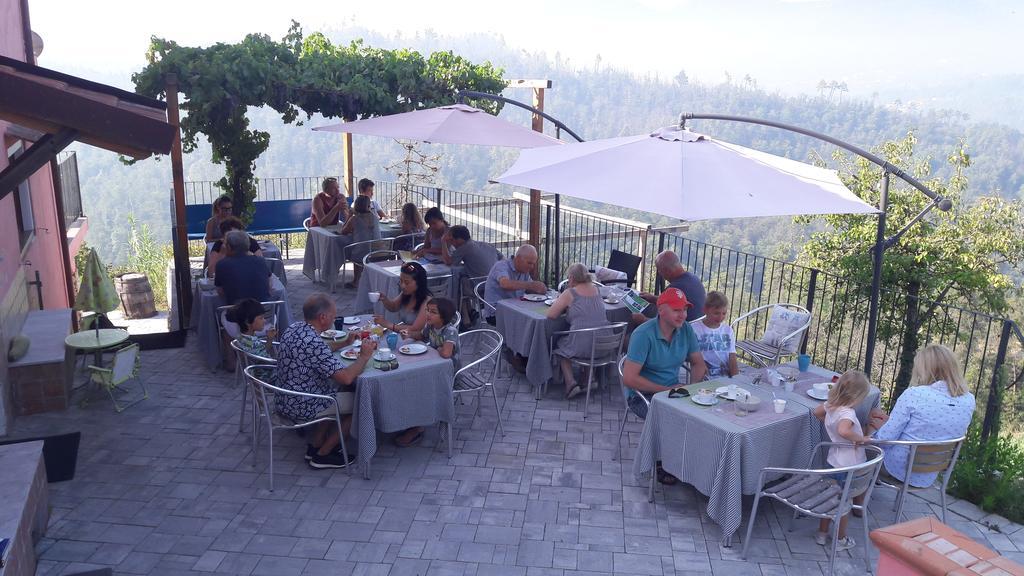 I Gelsi E I Castagni Villa Polverara ภายนอก รูปภาพ