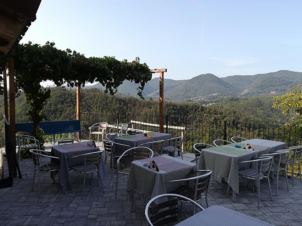 I Gelsi E I Castagni Villa Polverara ภายนอก รูปภาพ