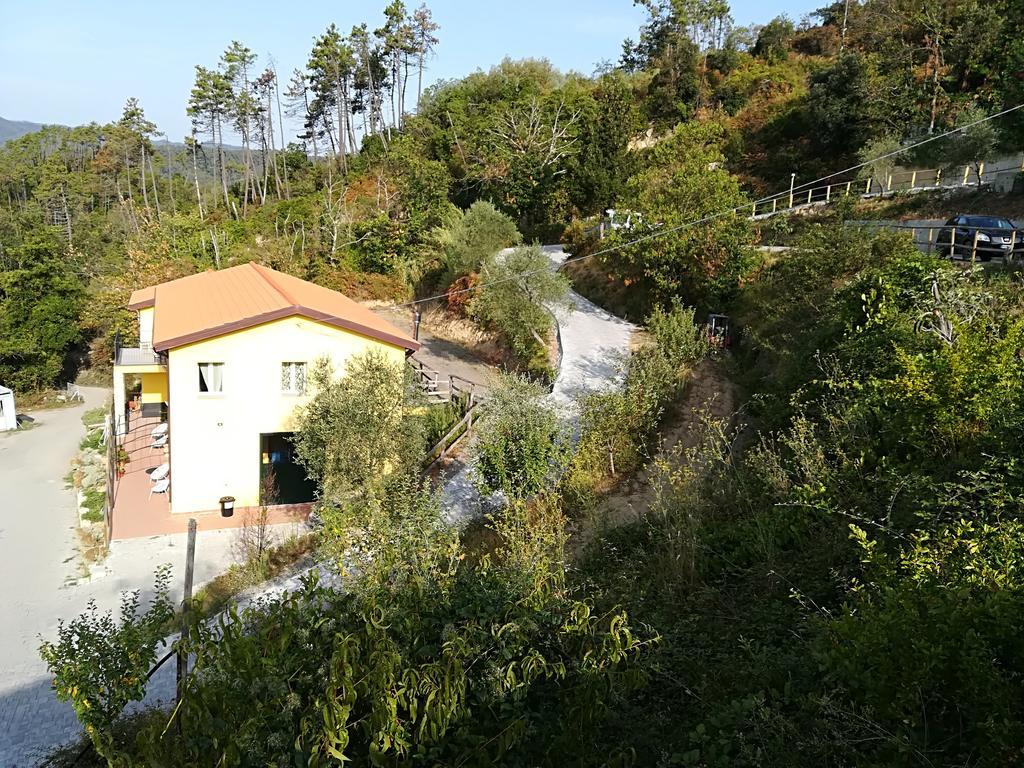 I Gelsi E I Castagni Villa Polverara ภายนอก รูปภาพ