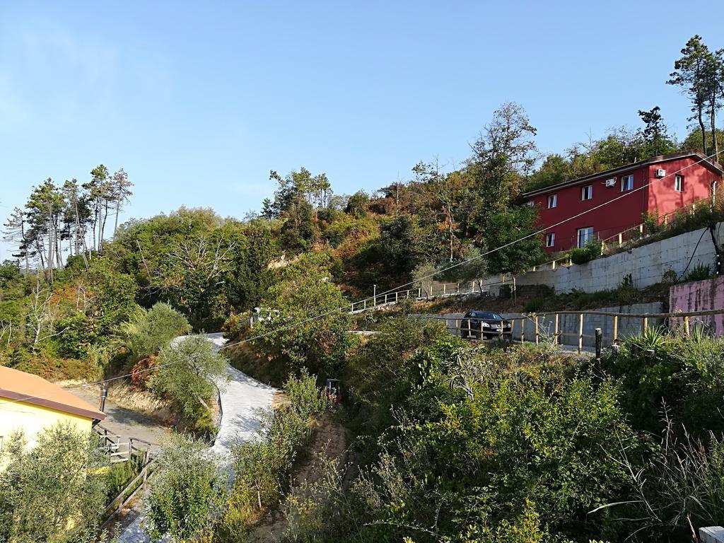 I Gelsi E I Castagni Villa Polverara ภายนอก รูปภาพ