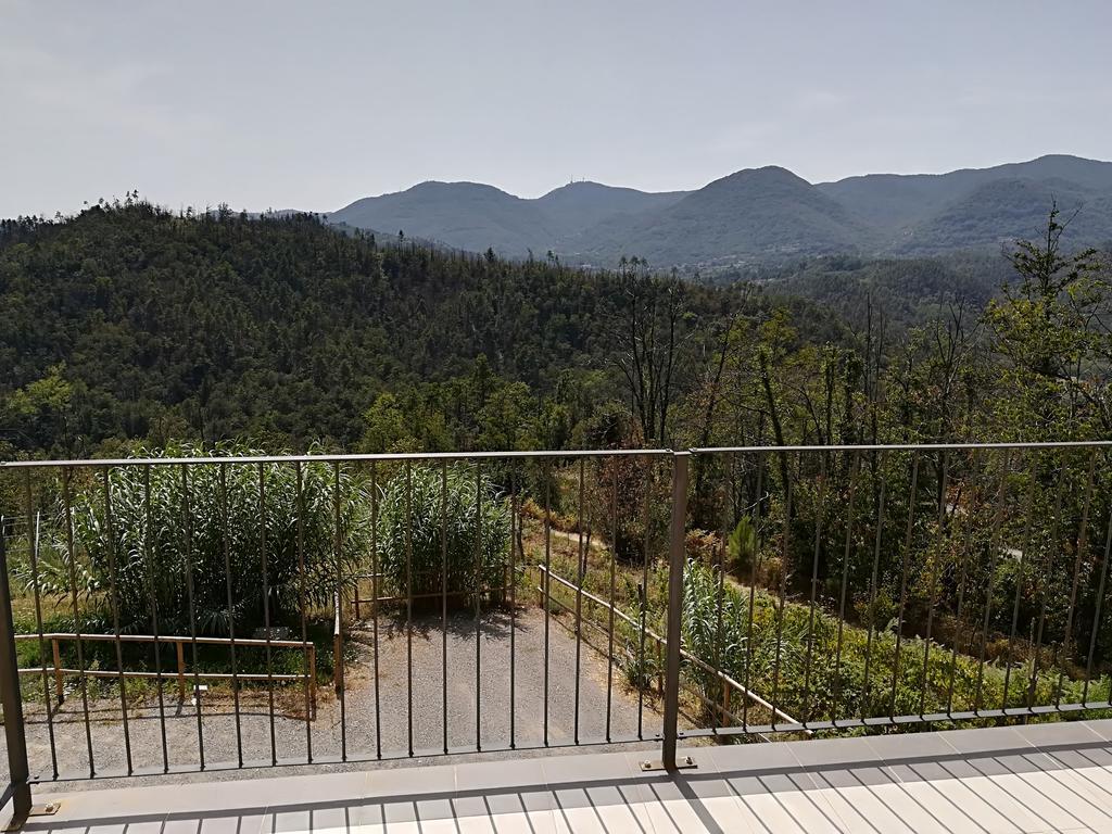 I Gelsi E I Castagni Villa Polverara ภายนอก รูปภาพ